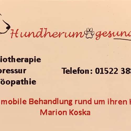 Hundeauslaufgebiet-Hundherum-gesund-Bild