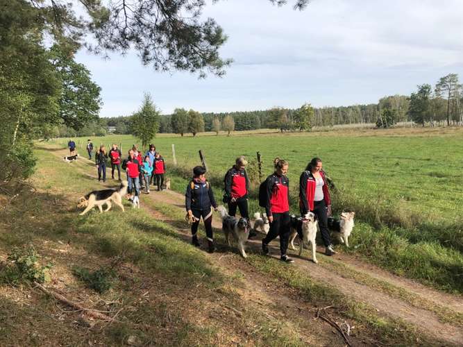 Hundeauslaufgebiet-HSV Waren Kamerun-Bild