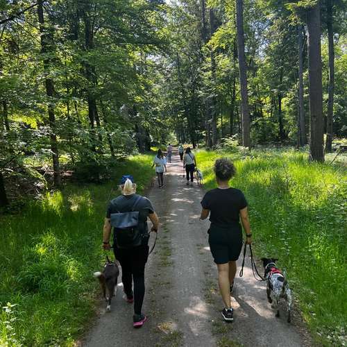 Hundeauslaufgebiet-sitzplatzhundetraining-Bild