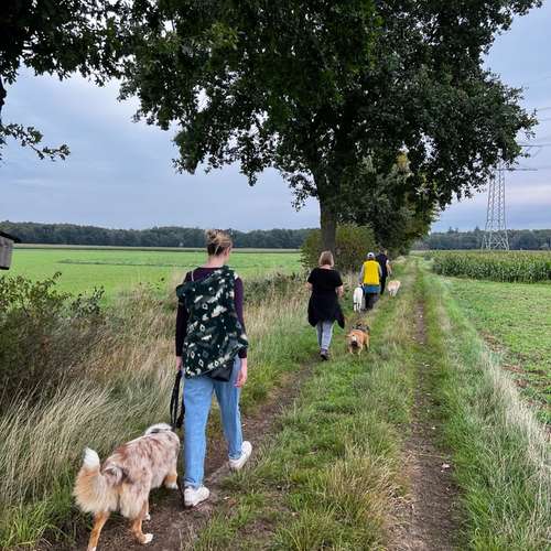 Hundeauslaufgebiet-sitzplatzhundetraining-Bild