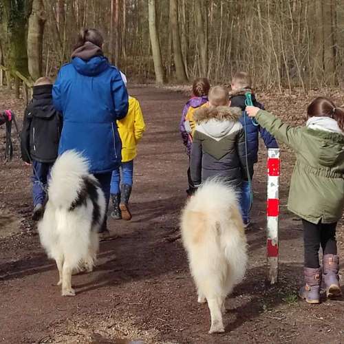 Hundeauslaufgebiet-Zauberpfote-Bild