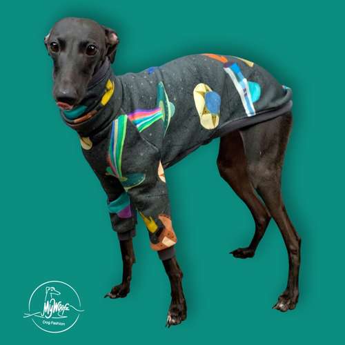 Hundeauslaufgebiet-AtelierDogs-Bild