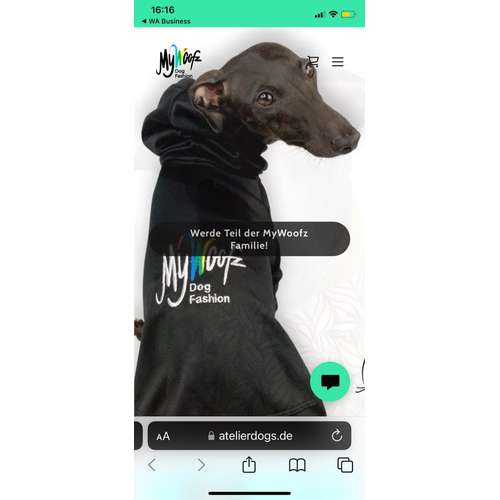 Hundeauslaufgebiet-AtelierDogs-Bild