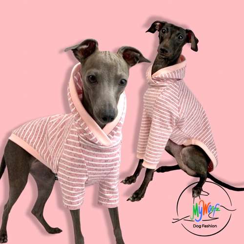 Hundeauslaufgebiet-AtelierDogs-Bild