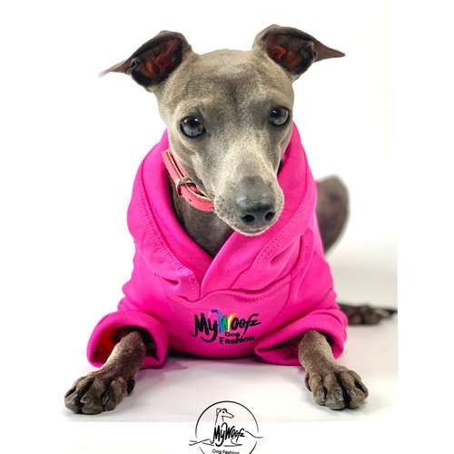 Hundeauslaufgebiet-AtelierDogs-Bild