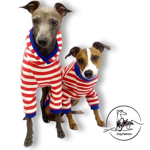 Hundeauslaufgebiet-AtelierDogs-Bild