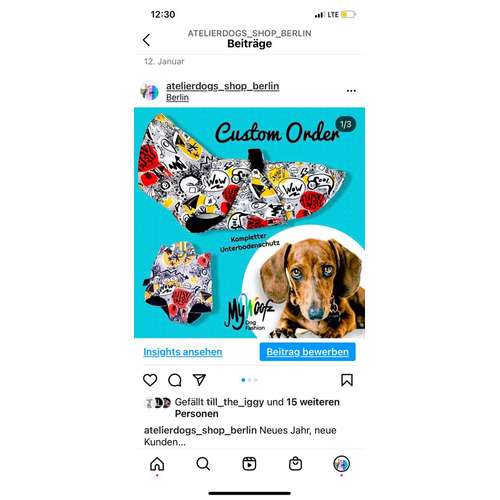 Hundeauslaufgebiet-AtelierDogs-Bild
