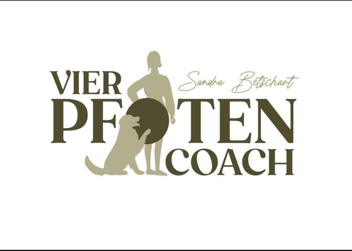 Hundeauslaufgebiet-VierPfotenCoach-Bild