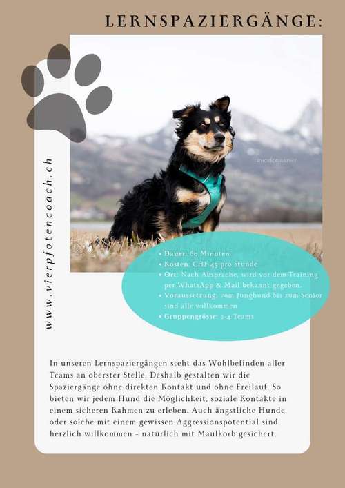 Hundeauslaufgebiet-VierPfotenCoach-Bild