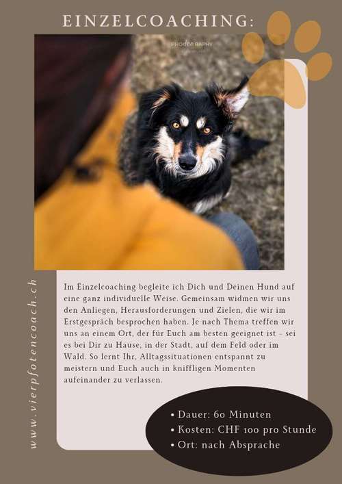 Hundeauslaufgebiet-VierPfotenCoach-Bild
