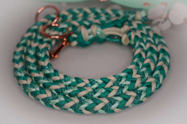 Hundeauslaufgebiet-Michelles_Leinenzeug-Bild