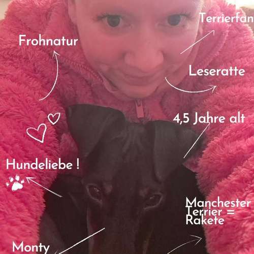 Hundeauslaufgebiet-Schnauzenwohl Ernährungsberatung für Hund und Katze-Bild