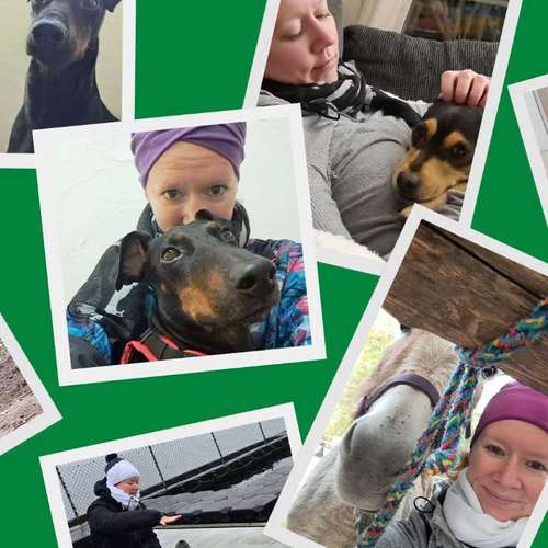 Hundeauslaufgebiet-Schnauzenwohl Ernährungsberatung für Hund und Katze-Bild