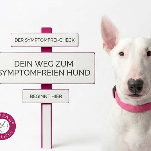 Hundeauslaufgebiet-Heilpraxis Tierliebe – Ernährungsberatung & Allergie-Hilfe für Hunde-Bild