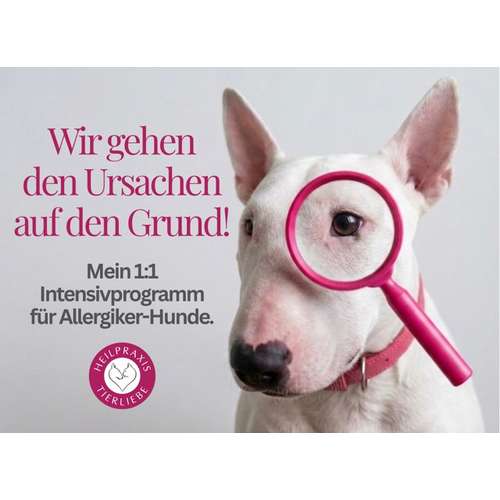 Hundeauslaufgebiet-Heilpraxis Tierliebe – Ernährungsberatung & Allergie-Hilfe für Hunde-Bild