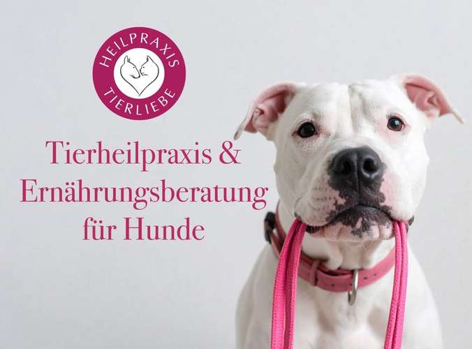 Hundeauslaufgebiet-Heilpraxis Tierliebe-Bild