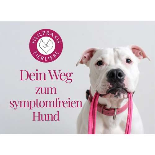 Hundeauslaufgebiet-Heilpraxis Tierliebe – Ernährungsberatung & Allergie-Hilfe für Hunde-Bild