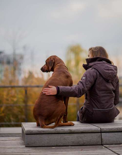 Hundeauslaufgebiet-Pfotenglueck_tierfotografie-Bild