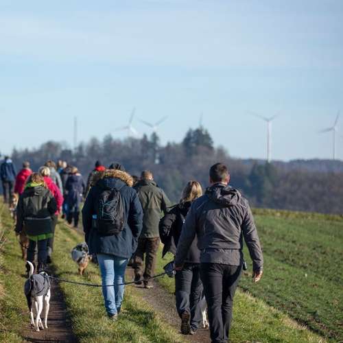 Hundeauslaufgebiet-Martin Rütter Hundeschule Birkenfeld / Merzig-Bild