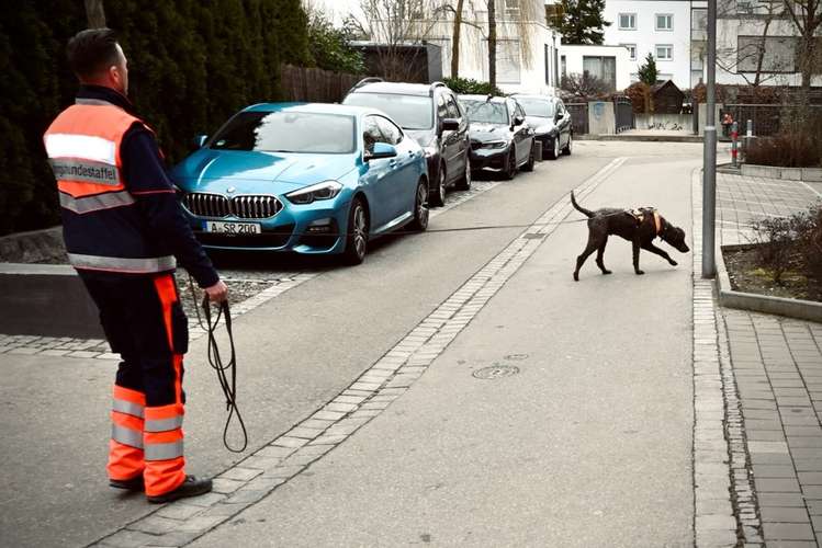 Hundeauslaufgebiet-Hundetrainer Augsburg - StrehDog Hundeschule/Mantrailing-Bild