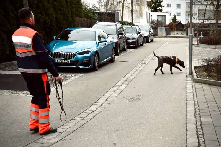 Hundeauslaufgebiet-Hundetrainer Augsburg - StrehDog Hundeschule-Bild