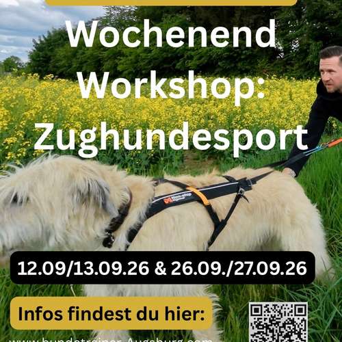 Hundeauslaufgebiet-Hundetrainer Augsburg  StrehDog Training-Bild
