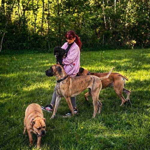 Hundeauslaufgebiet-Greatest Dogs- Die etwas andere Hundeschule-Bild