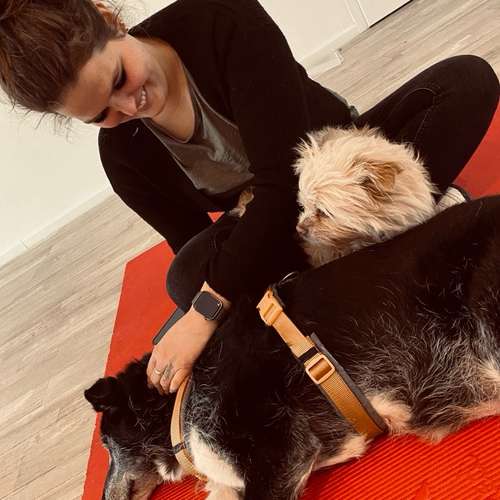 Hundeauslaufgebiet-Osteopathie für Kleintiere auf dem Therapiehof Steffan-Bild