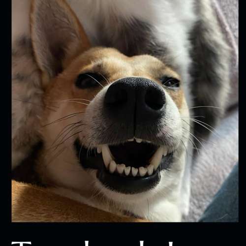 Hundeauslaufgebiet-Alpha Energy Balance GmbH-Bild