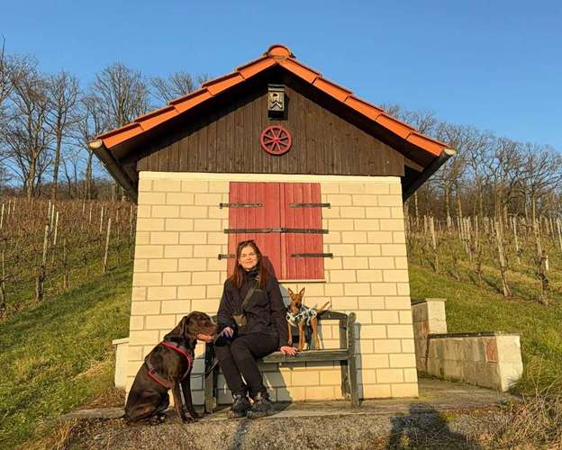 Hundeauslaufgebiet-Pfotenprofi - Hundetraining und Verhaltensberatung-Bild