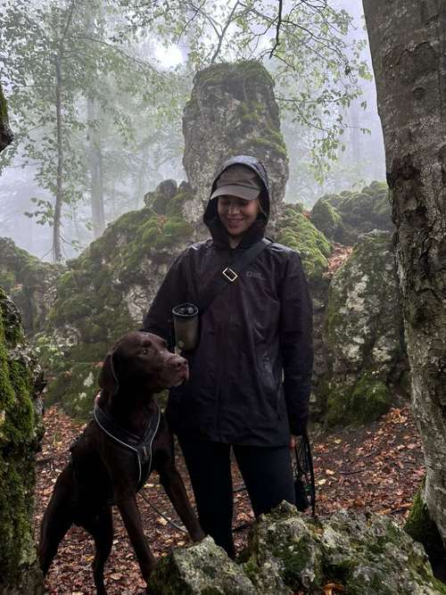 Hundeauslaufgebiet-Pfotenprofi - Hundetraining und Verhaltensberatung-Bild