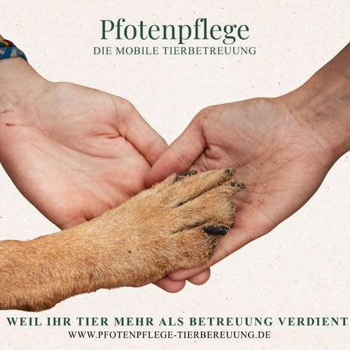 Hundeauslaufgebiet-Pfotenpflege die mobile Tierbetreuung-Bild