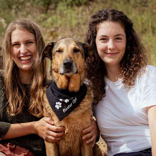 Hundeauslaufgebiet-Pfotenpflege die mobile Tierbetreuung-Bild