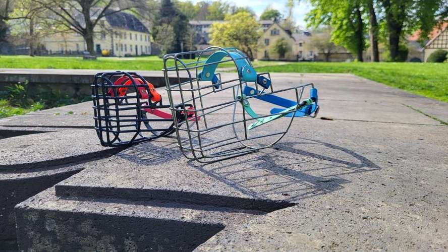 Hundeauslaufgebiet-Maulkorbberatung Louisa Deller-Bild