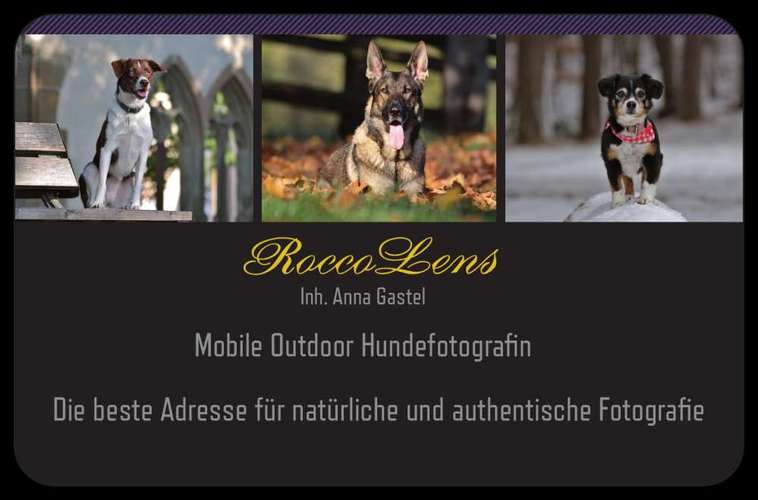 Hundeauslaufgebiet-RoccoLens-Bild