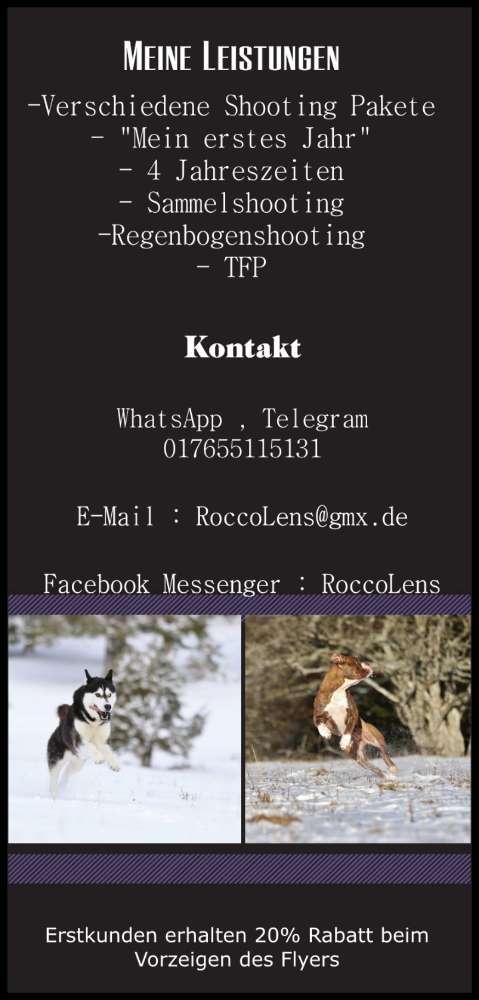 Hundeauslaufgebiet-RoccoLens-Bild