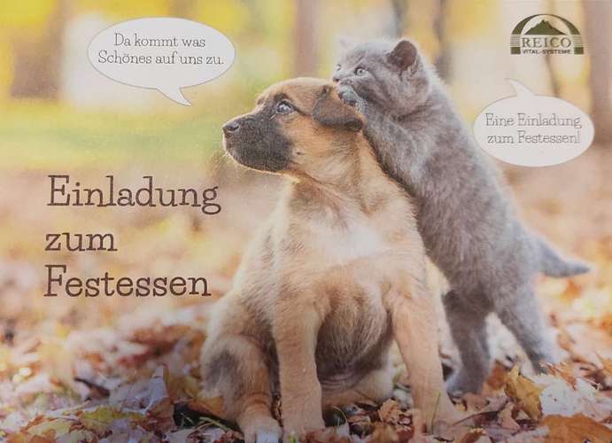 Hundeauslaufgebiet-Hundezentrum Taunuspfoten-Bild