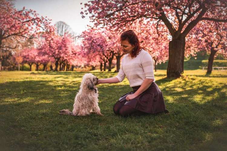 Hundeauslaufgebiet-Paws & Passion Tierfotografie-Bild