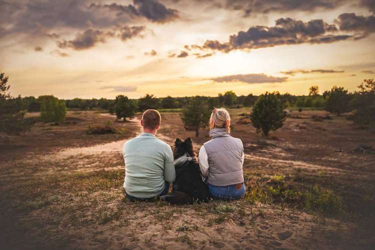 Hundeauslaufgebiet-Paws & Passion Tierfotografie-Bild