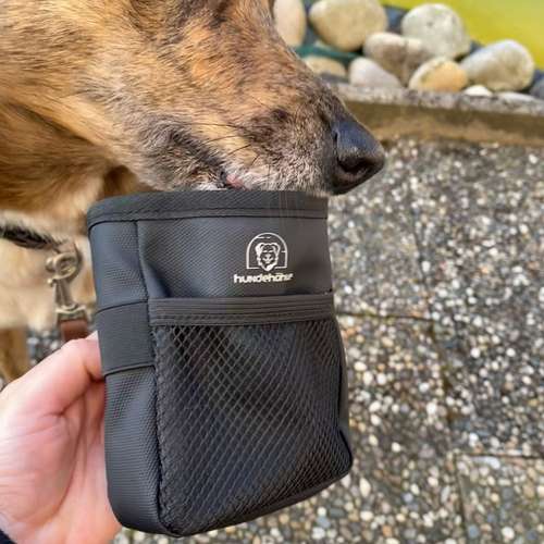 Hundeauslaufgebiet-jon.cicco-Bild