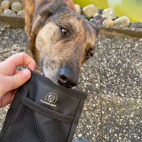 Hundeauslaufgebiet-jon.cicco-Bild