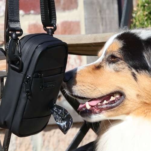 Hundeauslaufgebiet-jon.cicco-Bild