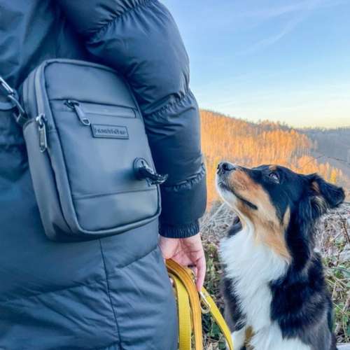 Hundeauslaufgebiet-jon.cicco-Bild