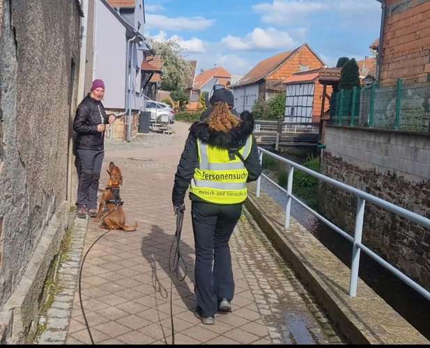 Hundeauslaufgebiet-Mensch & Tiersuche-Bild