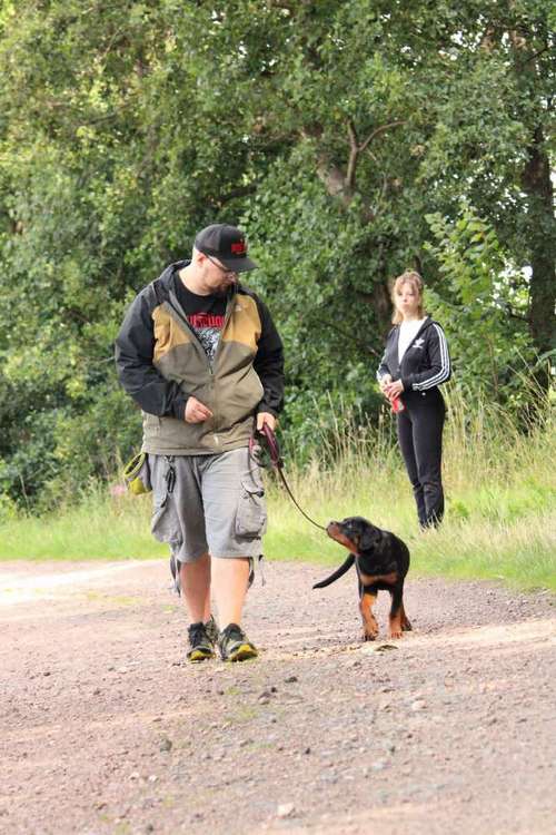 Hundeauslaufgebiet-Mensch & Tiersuche-Bild