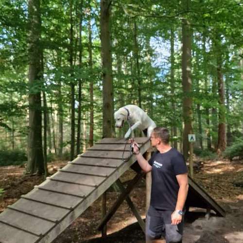 Hundeauslaufgebiet-re-boot your dogmind-Bild