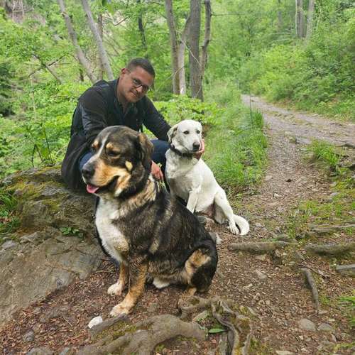 Hundeauslaufgebiet-re-boot your dogmind-Bild