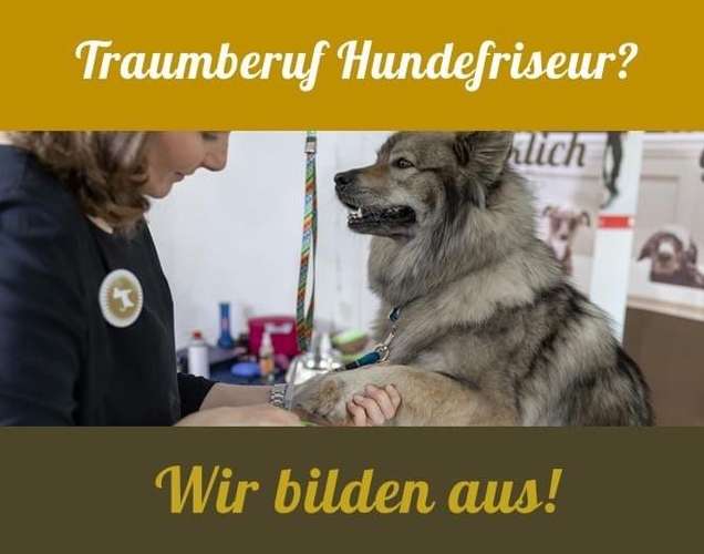 Hundeauslaufgebiet-DOGing Station GmbH-Bild