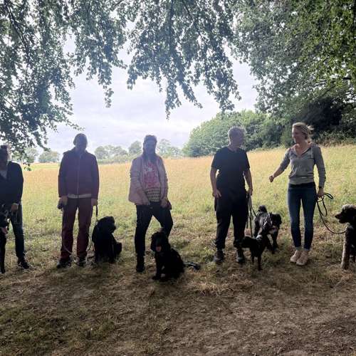 Hundeauslaufgebiet-Larilou - Hundetraining trifft Achtsamkeit-Bild
