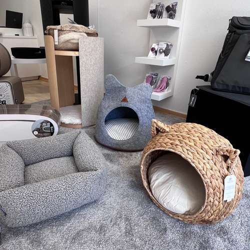 Hundeauslaufgebiet-hundskerle-Bild